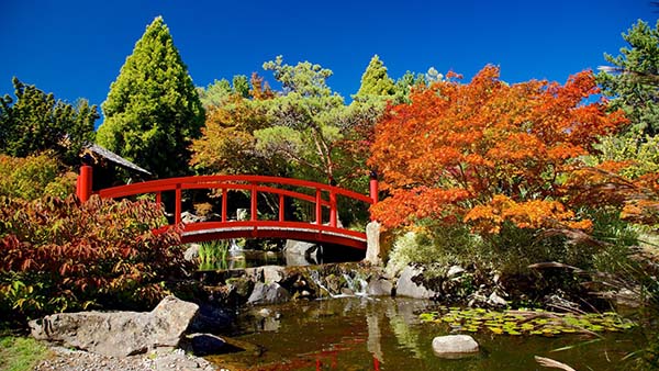 Du lịch Adelaide: Khu vườn Himeji