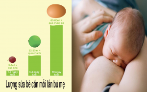lượng sữa cần thiết cho trẻ sơ sinh từng giai đoạn