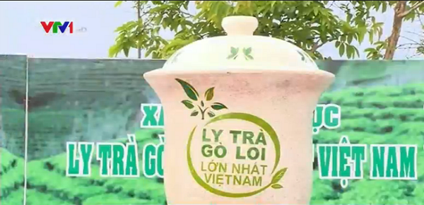 Ly trà Gò Loi to nhất Việt Nam