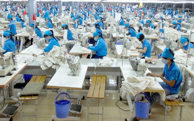 Công ty Gilimex hoạt động chủ yếu trong ngành hàng gia dụng sử dụng vải